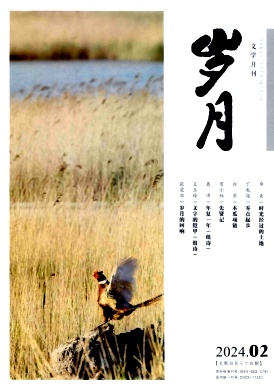 《岁月》