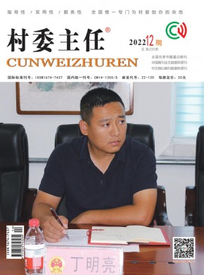 《村委主任 》